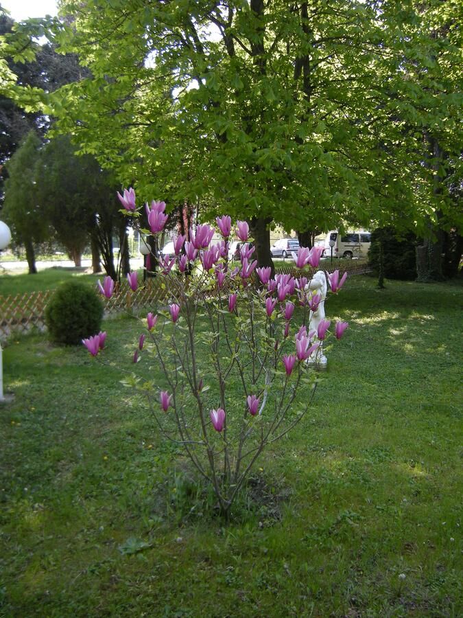 Отель Park Hotel Persey Варна-5