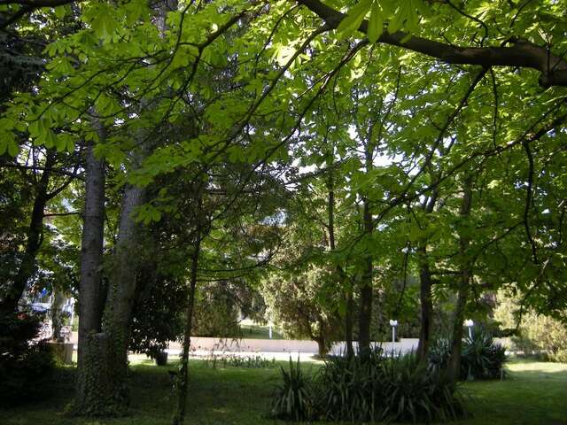 Отель Park Hotel Persey Варна-35
